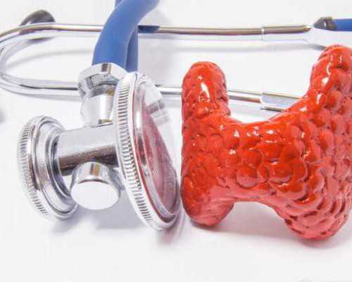 供卵的条件_国家允许供卵吗