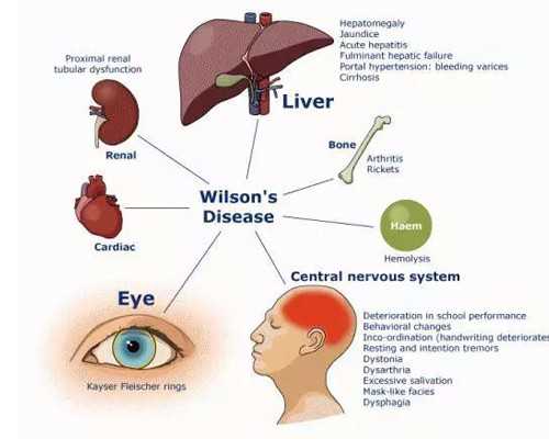 广州供卵医院供卵成功，广州南方医院供卵