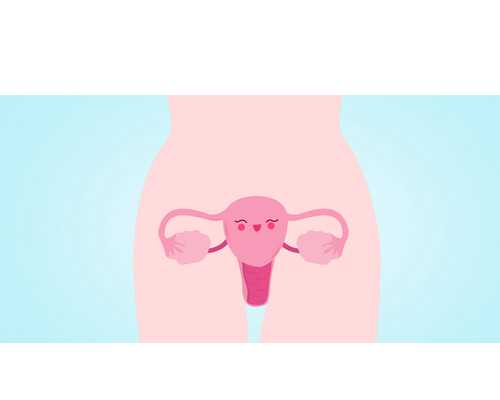 厦门市第一医院供卵试管多少钱
						