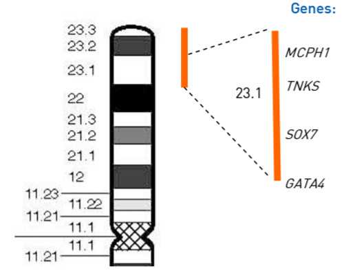试管婴儿价格_供卵试管儿,试管婴儿选男宝宝,试管婴儿网选